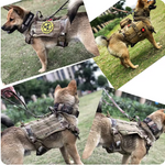 PECHERA/CHALECO DE ENTRENAMIENTO PARA PERRO, COMODA Y FACIL DE USAR