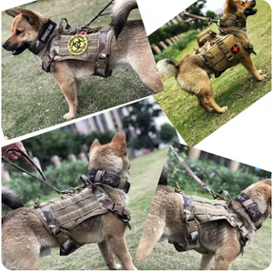 PECHERA/CHALECO DE ENTRENAMIENTO PARA PERRO, COMODA Y FACIL DE USAR